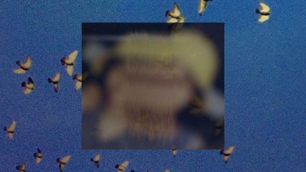 A square image placed atop a blue sky with a flock of birds moving. The square image is abstract yellow, peach, and blue colors. 