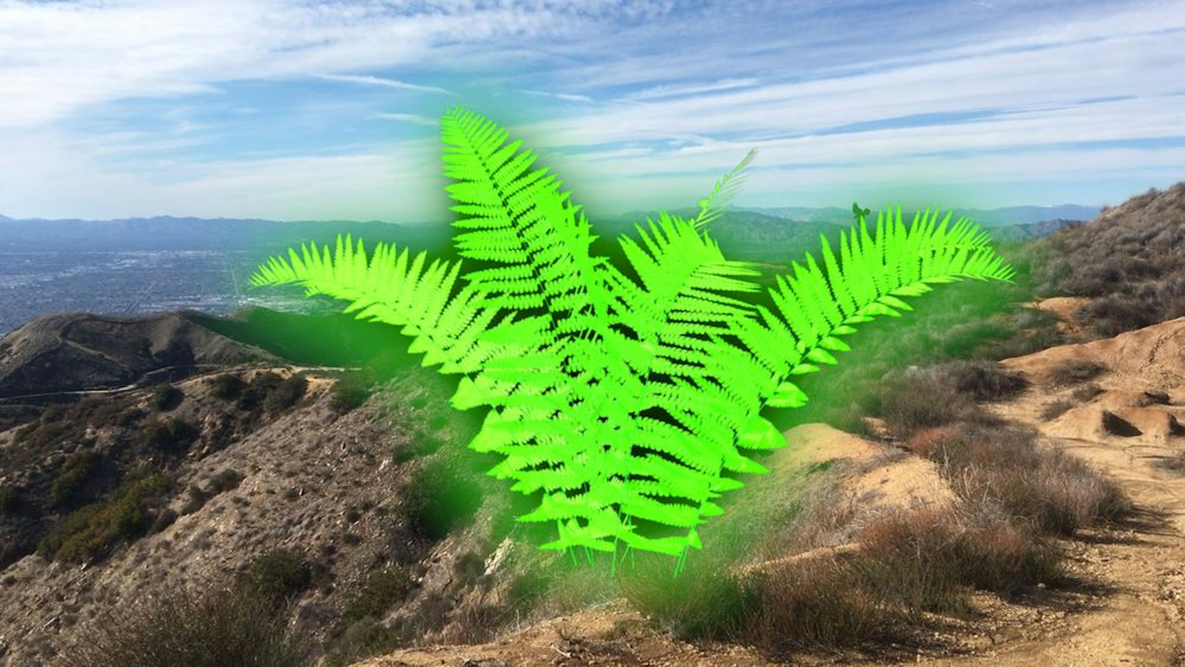 Film still showing a landscape with a digital illustration of a plant in the middle