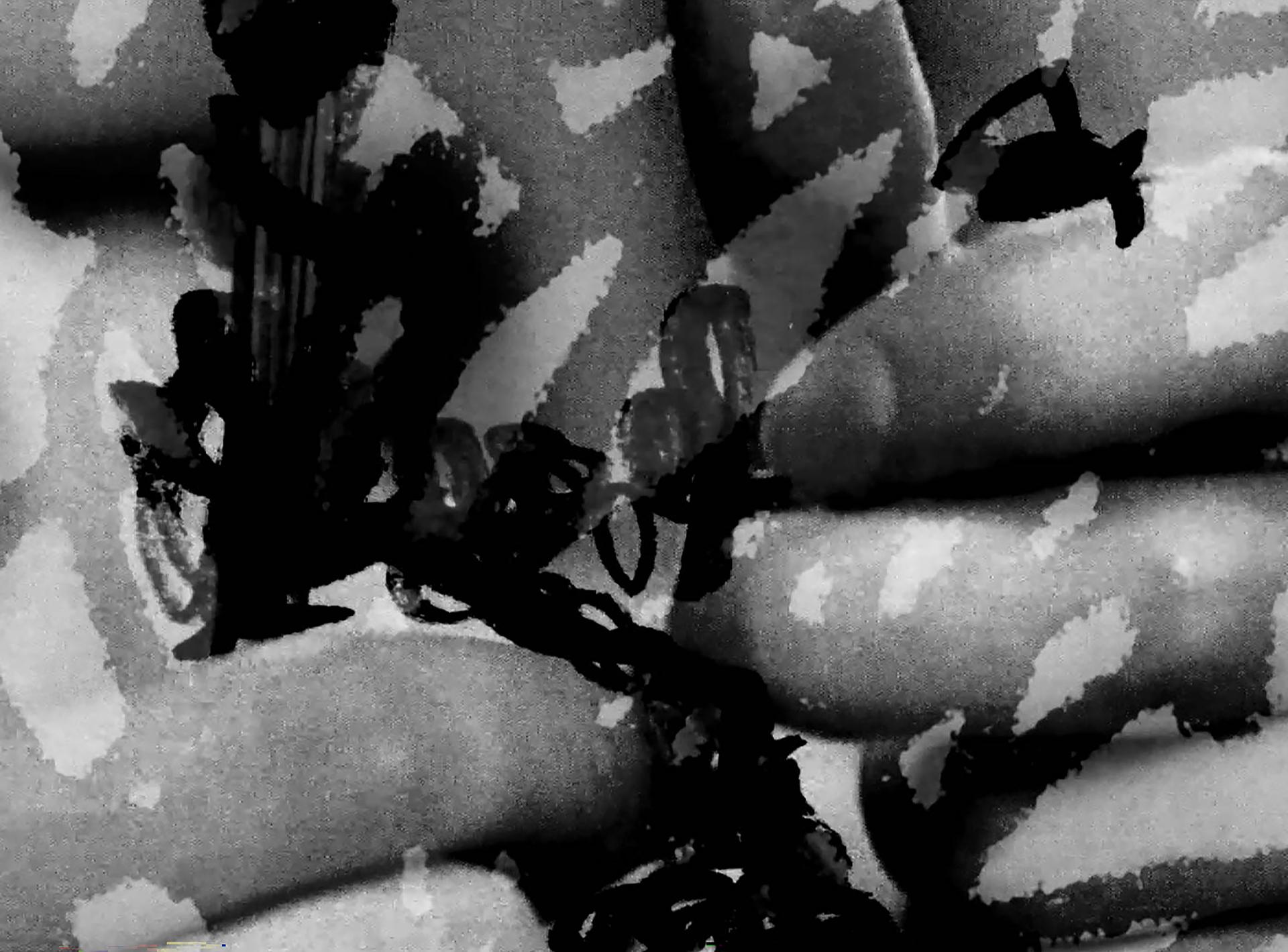 Image courtesy of Alejandra Saldivar