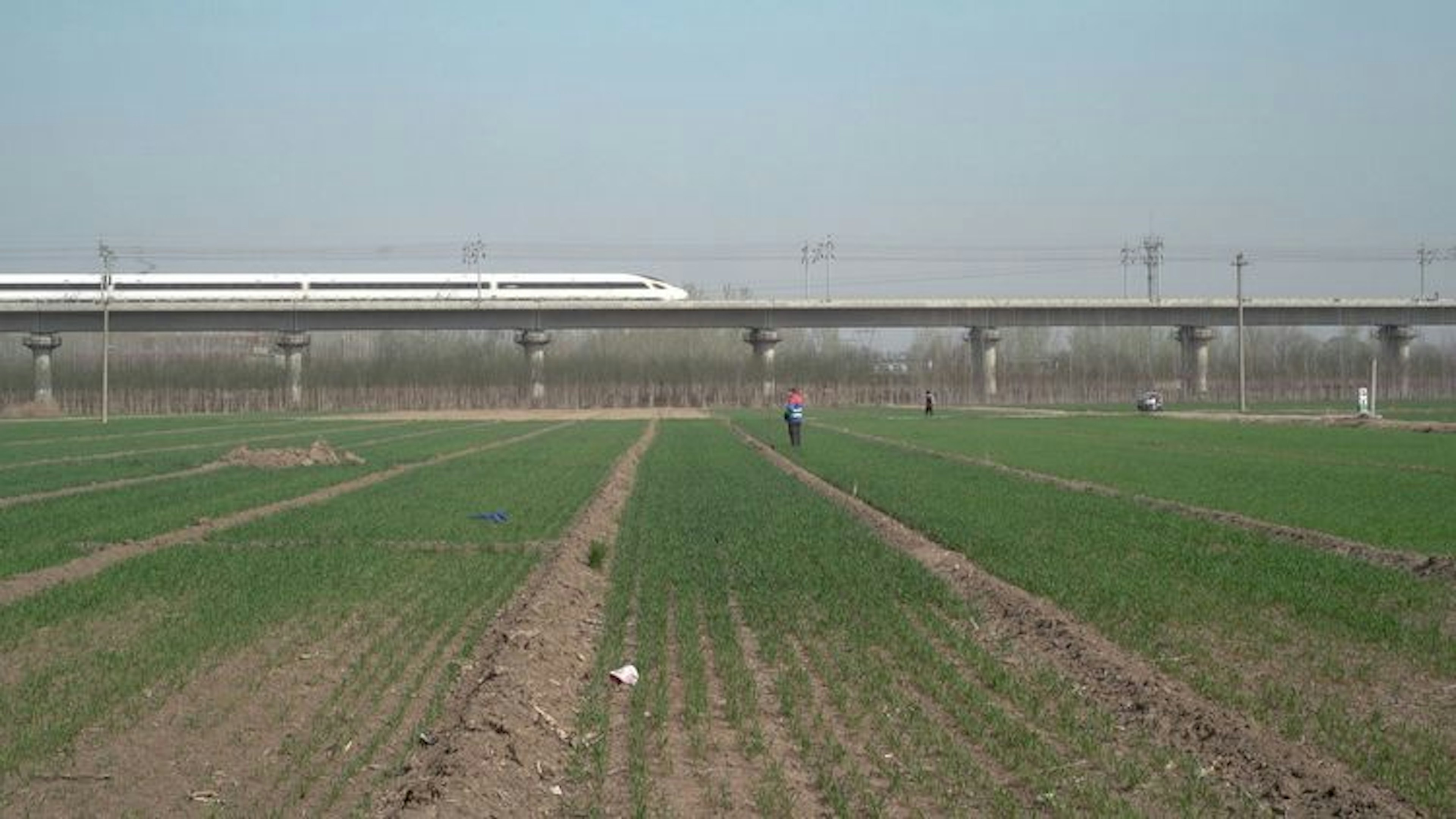 A large green field with two people standing in the foreground, their backs facing the viewer. A white train passes in the background. 