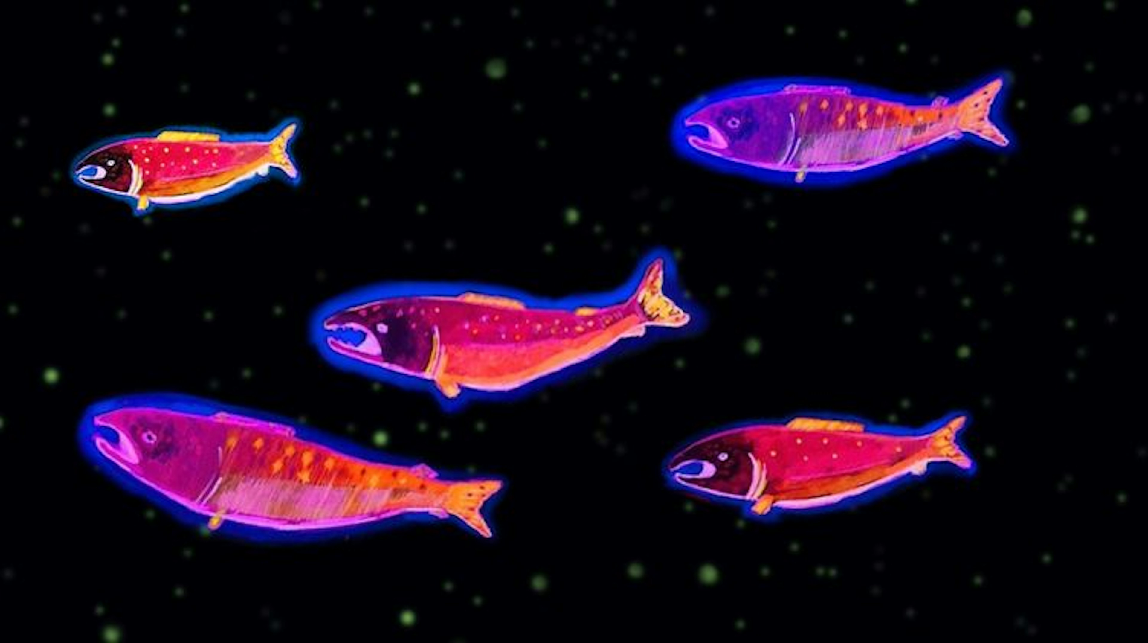 5 hand drawn fish speckled coloured purple, blue and red. They float against a black background with yellow spots placed throughout. 